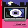 After Dark by Haruki Murakami Paperback Book 9781529982343