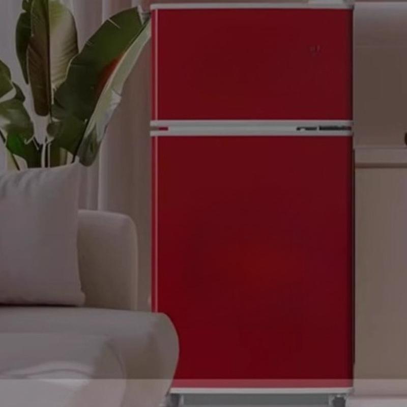 220V Kühlschrank Retro Klein und Mittelgroß Haushalts-Doppeltür-Kühlschrank