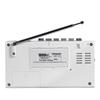 Enregistreur Cassette Portable PANDA 6503 avec Radio AM/FM et Lecteur MP3 Prise CN (adaptateur inclus)