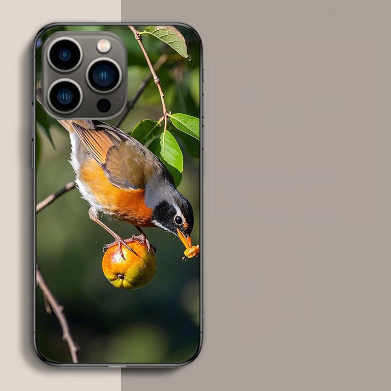 

Robin Bird Phone Case For Iphone 17 Air 15 Pro 14 Plus 16 Pro Max 17E 16E 12 13 Mini 11 Cover Cute Fundas iPhone 16 Pro Max