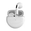 Pro6 True Wireless Noise-Cancelling In-Ear Sports Gaming Earbuds