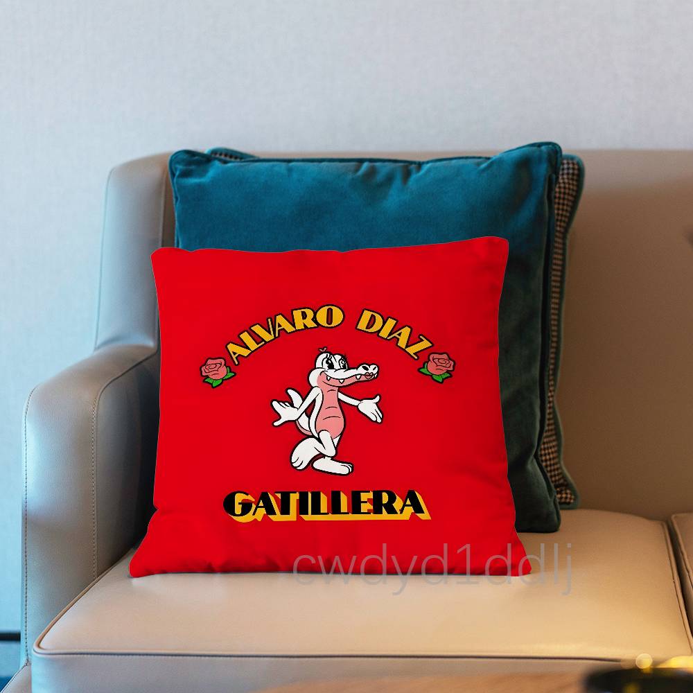 

Alvaro Diaz COCO Pillow Case Short Plush Sofa Decorative Gift Home Doublesided Printing Cushio 30x30cm