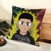 Cushion Cover Silky Short Plush Home Sofa Cushion Cover - Invisible Zipper Home Decoration Rapper B-BENY JR
