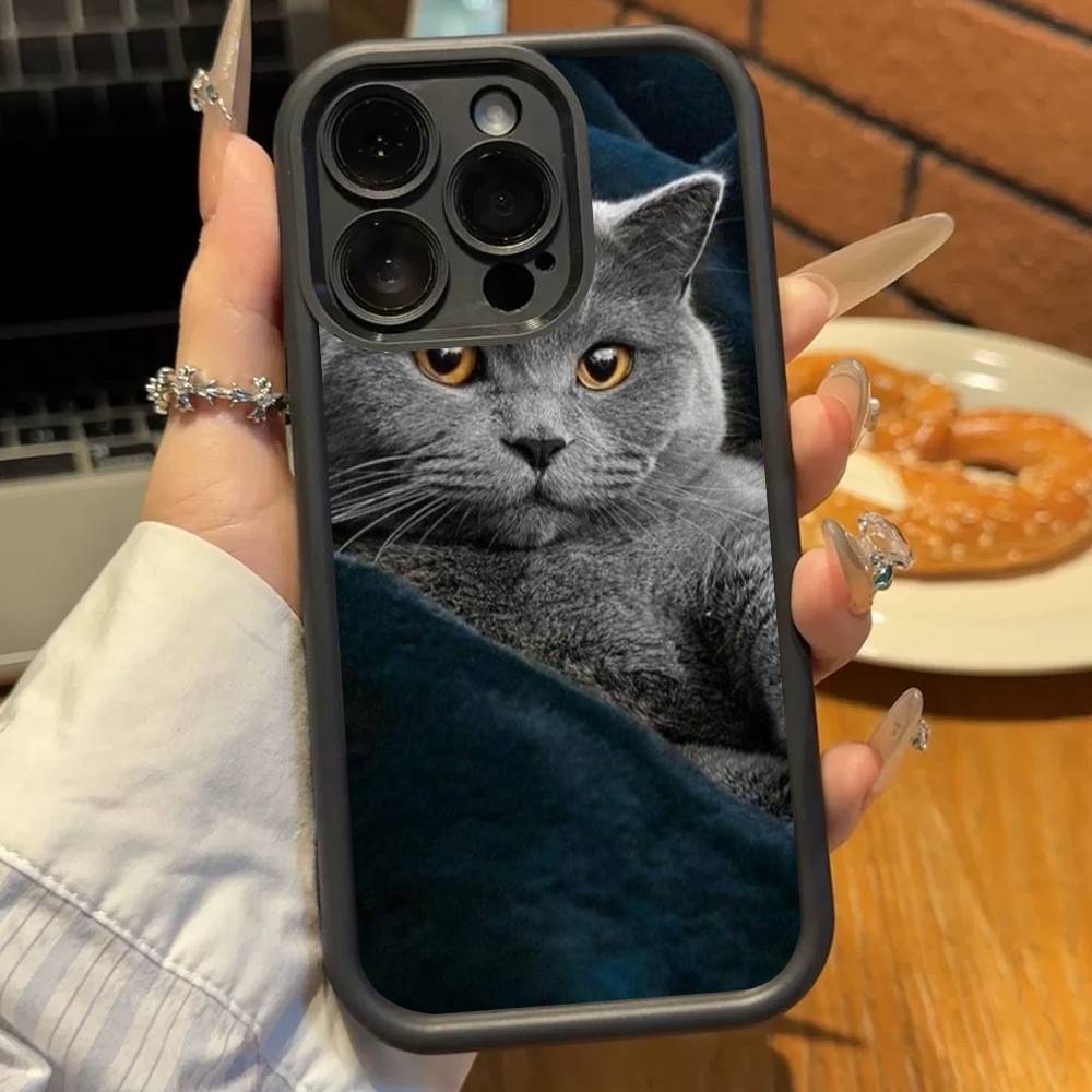 

Кошка британская короткошерстная Мягкий ТПУ чехол для телефона Для iphone 17 Air 16 15 14 13 12 11 Pro Max Plus Чехол iPhone 12