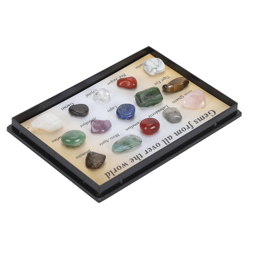 Rock Stone Colletction Kit for Kids Exquisite Science Classroom Rocks and Minerals Collection Minerals Educational