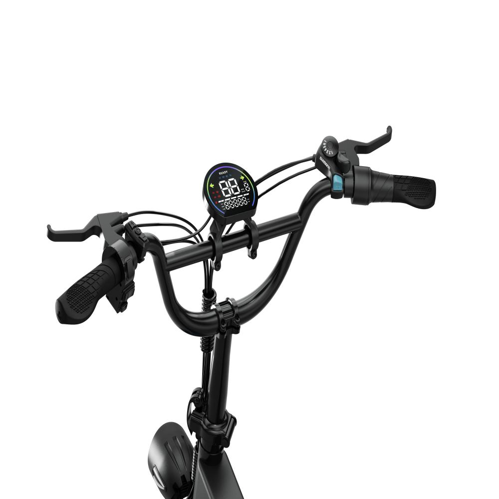 URLIFE T5 20" Folding Electric Bike with 48V 13Ah Battery