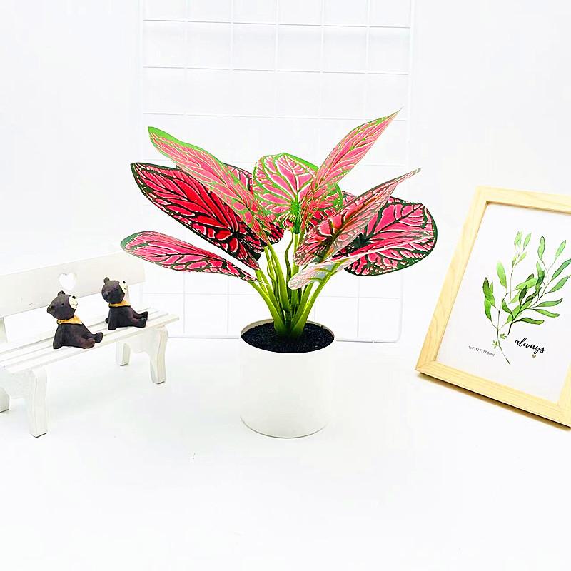 Simulated Epipremnum Aureum And Dasheen Leaves Potted For Home And Events