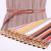 New Multi-color Decorative Dress Sweater Thin Belt Women's Versatile Pin Buckle Belt