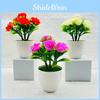 Miniature Rose Plant With Artificial Flowers For Indoor Decoration And Office Decor