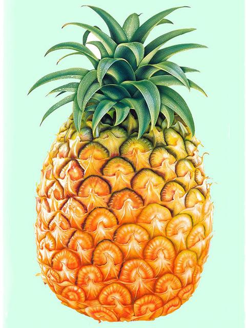 5D DIY Diamond Painting Static Fruit Cup Coconut Cross Stitch Kit Full Square Embroidery Mosaic Art Picture Of Rhinestones Decor