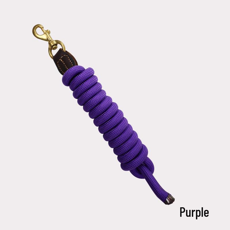 Reinforced Equestrian Horse Lead Rope with Copper Hook