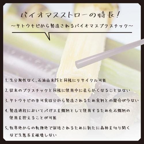 Edogawa Bussan Biomass Straws, 6mm Diameter x 21cm Length, Pack of 500, GPE621SN6