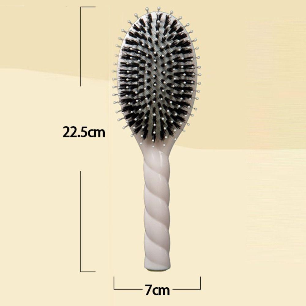 Anti Static Boar Bristle Hair Brush Macaron Hairdressing Comb Air Cushion Comb Scalp Massage