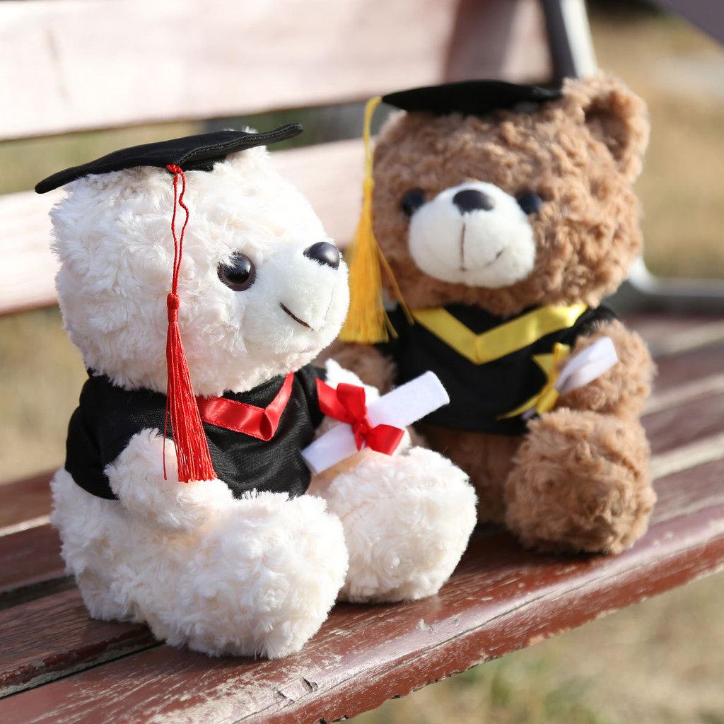 Graduation Teddy Bear Plush Toy With Pp Cotton Filling For Birthday Gift Girls
