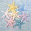 100pcs Simulation Starfish Resin Accessories Slime Filling Flatback  Cabochon for Children's Hair Accessory  Crystal Mud Crafts