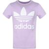 adidas Originals TREFOIL TEE T Shirt Purple Teenagers DV2908