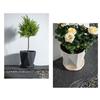Including Liner Hydroponic Planter Self Watering Soil Flower Pot New Potted Flower Pot