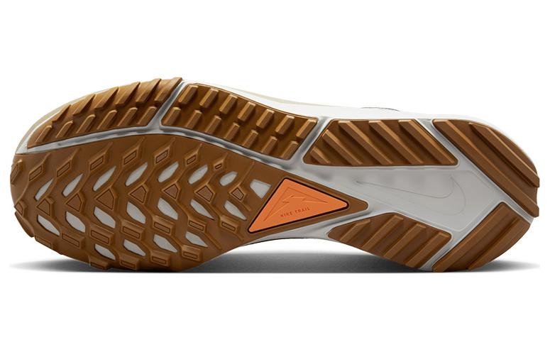 Nike Pegasus Trail 4 Gore Tex Anthracite Ironstone FD5841-001