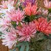 10% Off Clearance: Artificial Chrysanthemum Bouquet – INS Style Home Decor, Chrysanthemum Variants for Stunning Faux Floral Displays