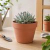 Durable Garden Planter Terracotta Flowerpot, Clay Plant Pot with Drainage Hole, Porous Succulents for Indoor Outdoor Plants Cacti Herbs Thick