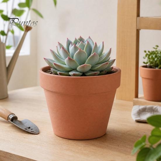 Durable Garden Planter Terracotta Flowerpot, Clay Plant Pot with Drainage Hole, Porous Succulents for Indoor Outdoor Plants Cacti Herbs Thick