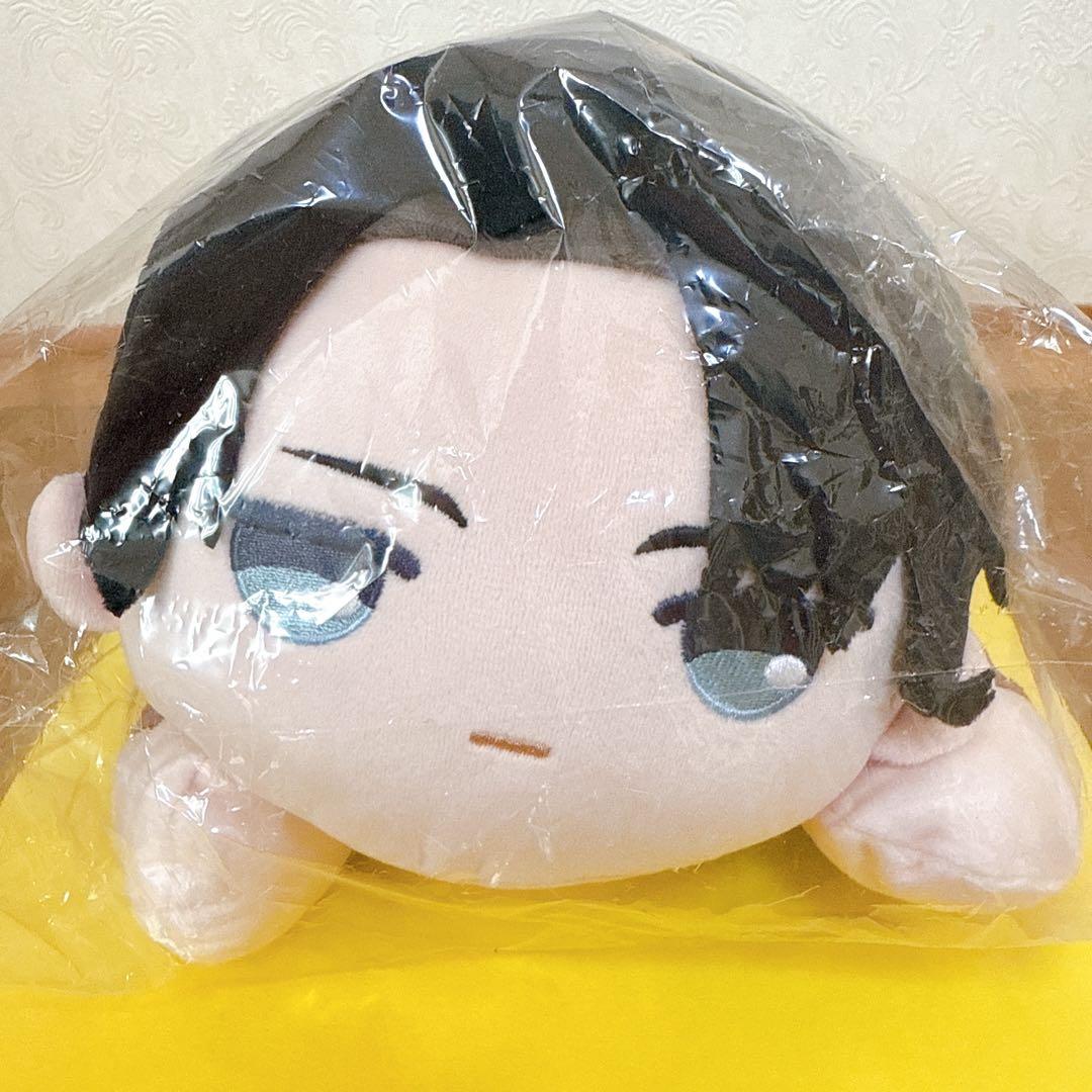 

[USED] Attack on Titan Levi Plush Tissue Case