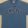 Majestic Chicago Cubs Derrek Lee 25 MLB T-Shirt Blue Mens Medium 2009 Unisex T-Shirt