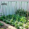 Înverzire şi amenajare – Susținere plante