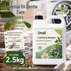 Produse chimice de uz casnic – Soluții pentru spălat