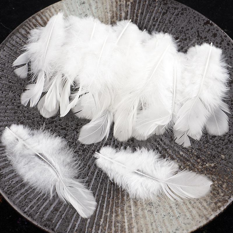 Mixed Color Chicken & Peacock Feathers for DIY Ornaments, Handicrafts, and Handmade Clothing Accessories.