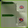 Glow-in-the-Dark Flower Toilet Lid Sticker Self-Adhesive Luminous Bathroom Decor Night Glow Removable Wall Decal