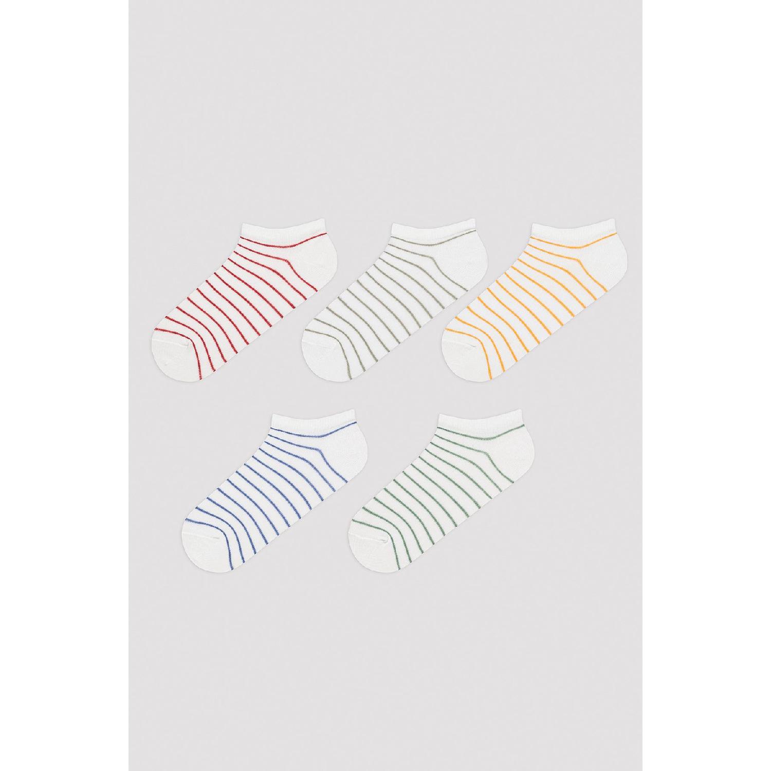 

Colored Line 5 Booties Socks Standart