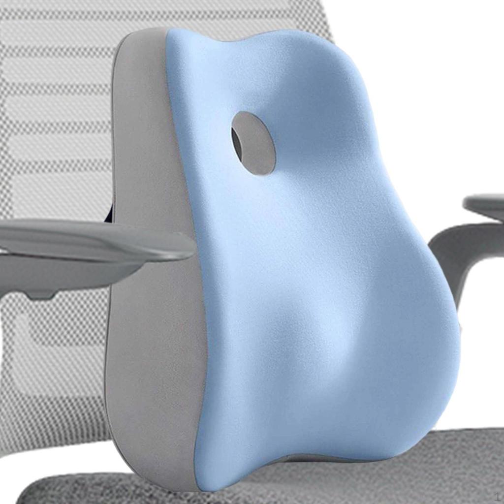 Back Support Cushion for Lumbar Relief, Foam Pillow with Strap Vehicle And Office