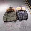 New national standard white duck down short down jacket women's clothing waist jacket fox big fur collar hooded and thin Pinghu black