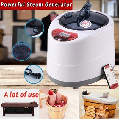 2/2.5L Sauna Generator for Sauna Spa Tent Body Therapy Fumigation Machine Home Steamer Therapy