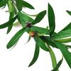 Artificial Green Olive Wreath Greenery Wreath with Olive Leaves Bean for Front Door Indoor Outdoor Festival Wedding Decor