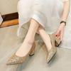 Fashion New 2025 Spring Women Pumps Pointed Toe High-heeled Shoes Sequin Women's Single Thick Heel Party Wedding Dress Shoes Large Size