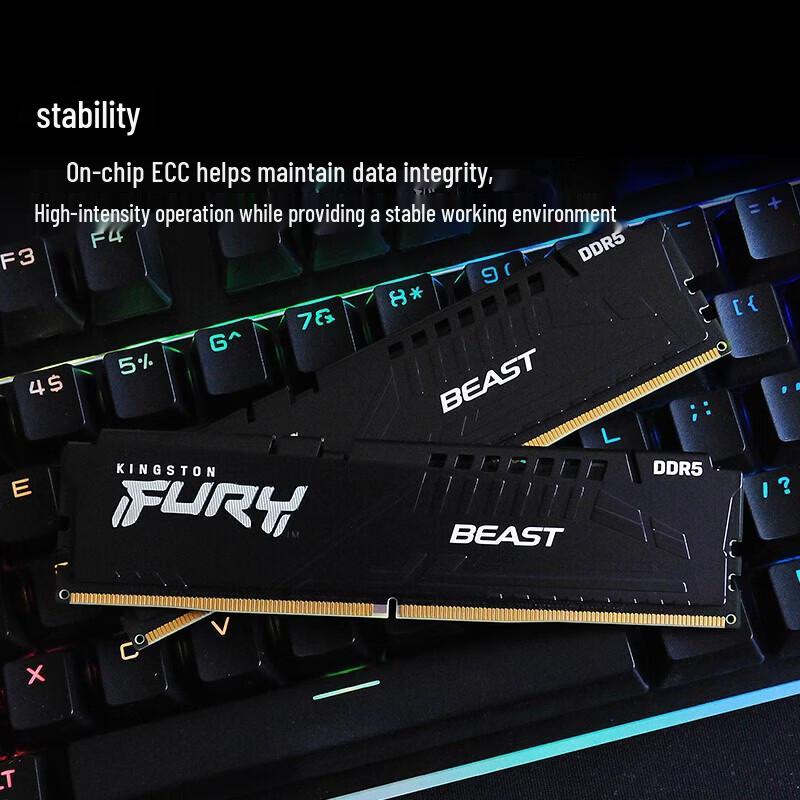 Kingston FURY Beast DDR5 6000 Desktop Memory