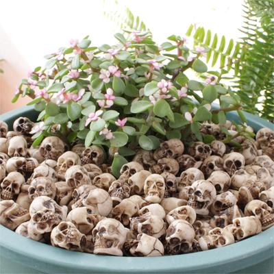 20Pcs Mini Skulls Decor Flowerpot Decoration Skeleton Head Scary Props Halloween Miniature Skull Rocks Garden Potted Plant Decor
