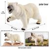 Polar Bear Wildlife Model Toy - Arctic Animal for Children's Sensory Play and Early Education