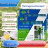 Universal Plant Regenerator: Water-Soluble Nutrient Solution for Green Plants, Flowers, and Home Gardening.