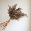 Wabi-sabi Dried Flower Arrangement: Reed, Pine Cones, Cotton, Wheat, Poppy Bouquet