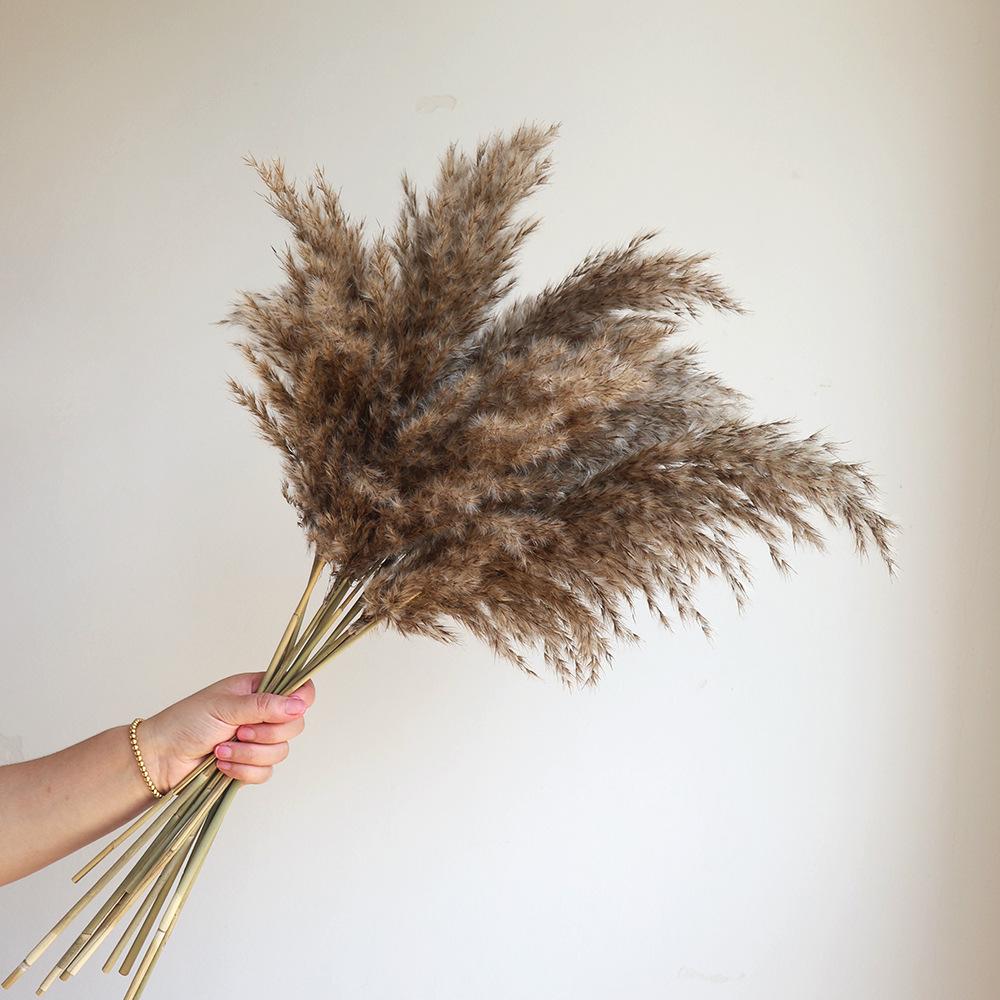 Wabi-sabi Dried Flower Arrangement: Reed, Pine Cones, Cotton, Wheat, Poppy Bouquet