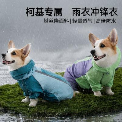Giyim ve ayakkabı – Köpek Yağmurlukları