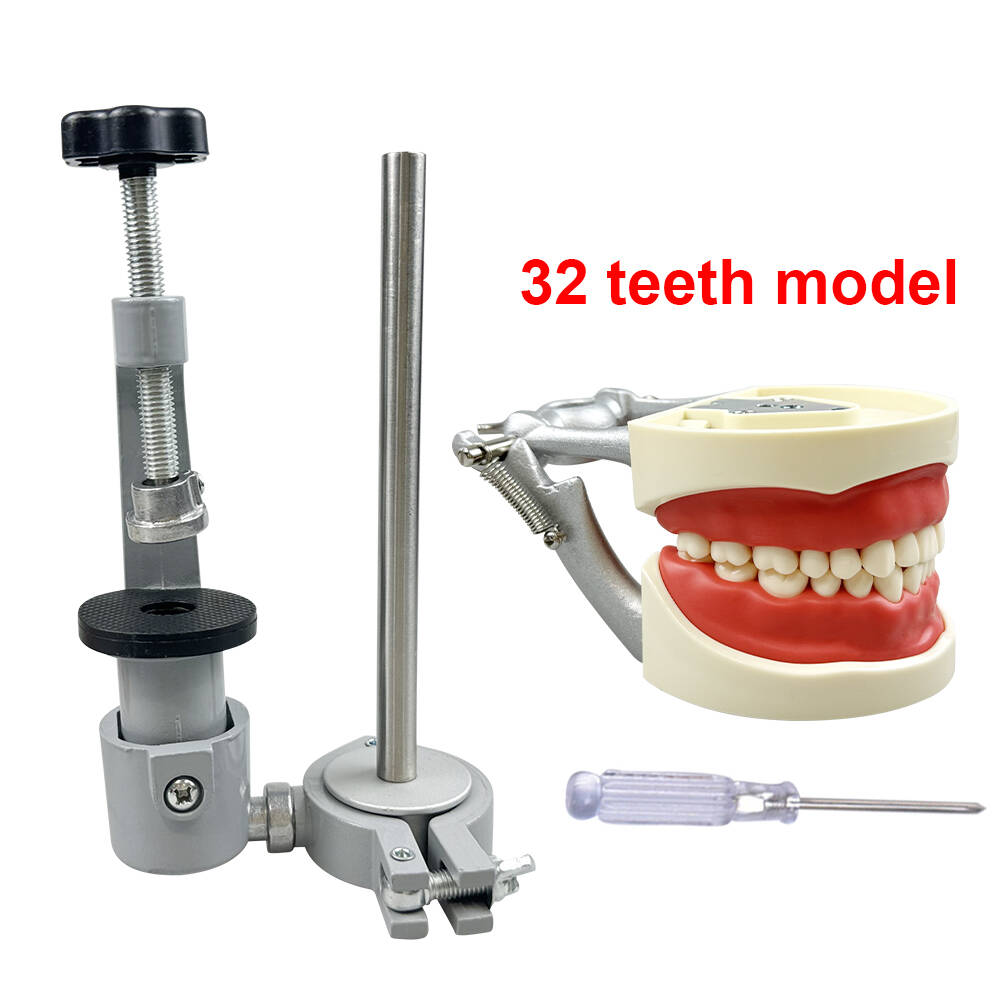 Dental Practice Model With Table Attachment