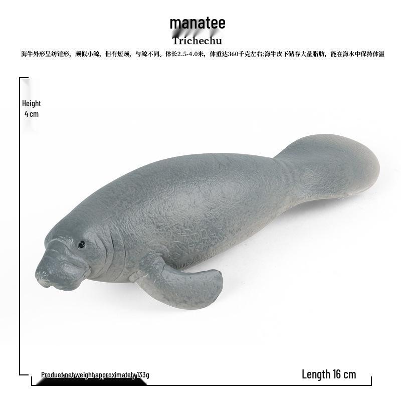 Children s Montessori Marine Life Toys: Realistic Manatee Animal Models