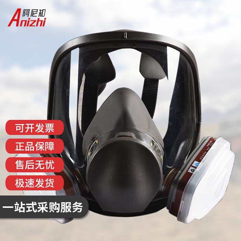 Anizhi 6800 Reusable Respirator Mask