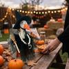 Dark Style Goose Witch Dress Up Costume Porch Goose Witch Scene Prop  Halloween Party