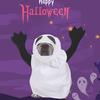 Adorable Costume For Pets! Soft, Comfy & Easy To Wear. Perfect For Halloween . Easy To Wear With Secure Straps. Fits Cats & Small Dogs.