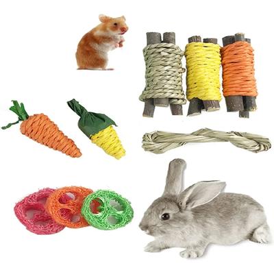 Engaging Dental Chew Toys for Rabbits, Guinea Pigs, and Cats - Fun & Healthy Snack Set